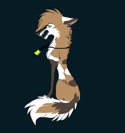 Kit quickie