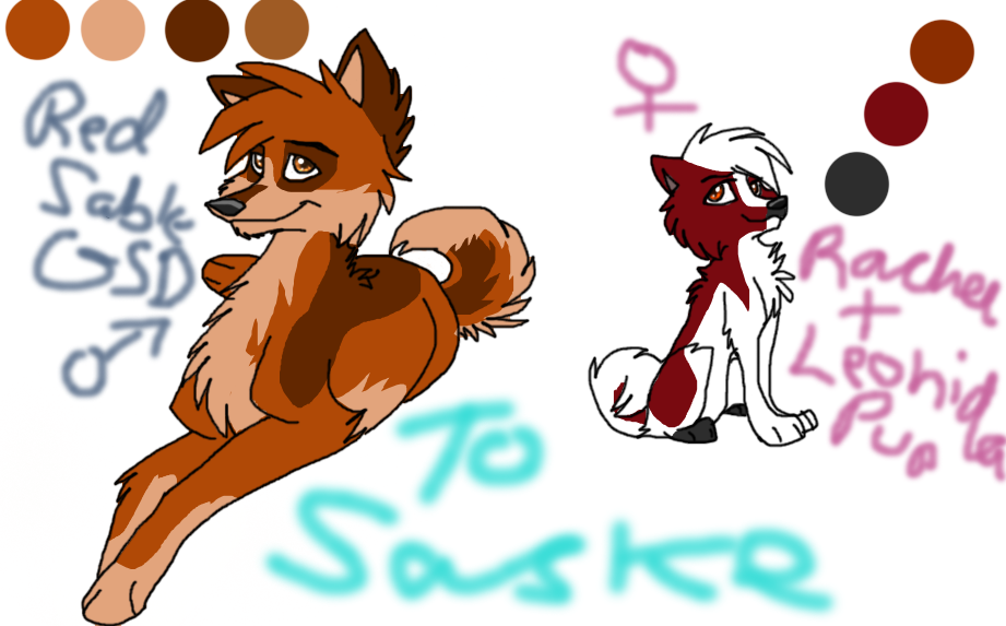 Request from Saske Italian Wolf