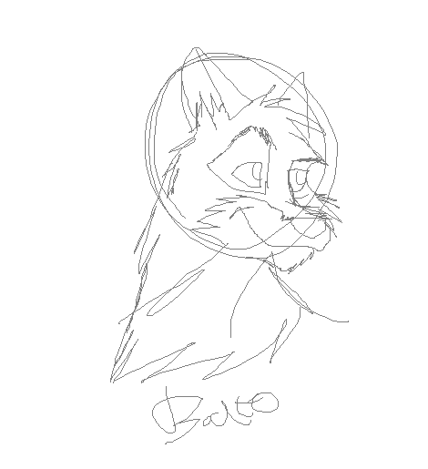 Balto WIP