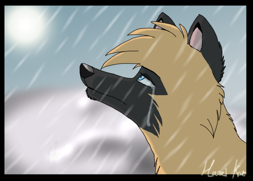 .::Stand In The Rain::.