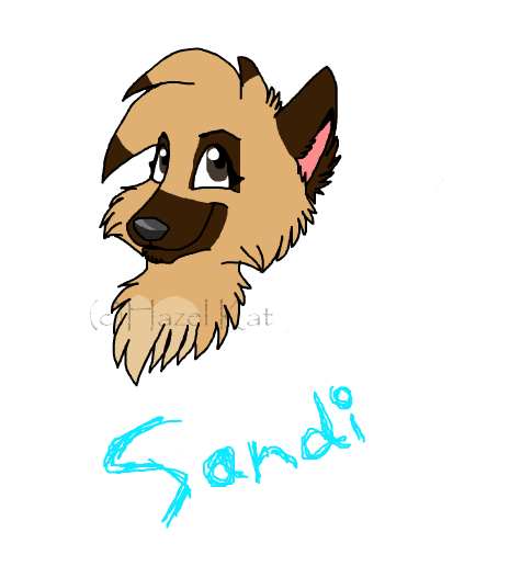 Sandi-pie