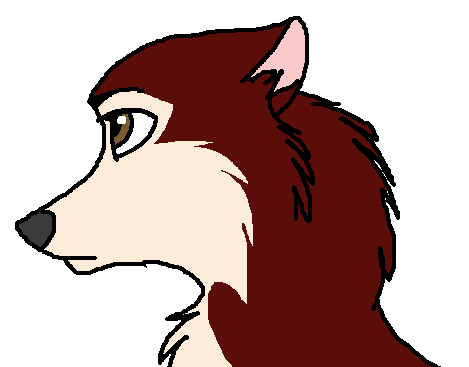 No sketch.o-o
