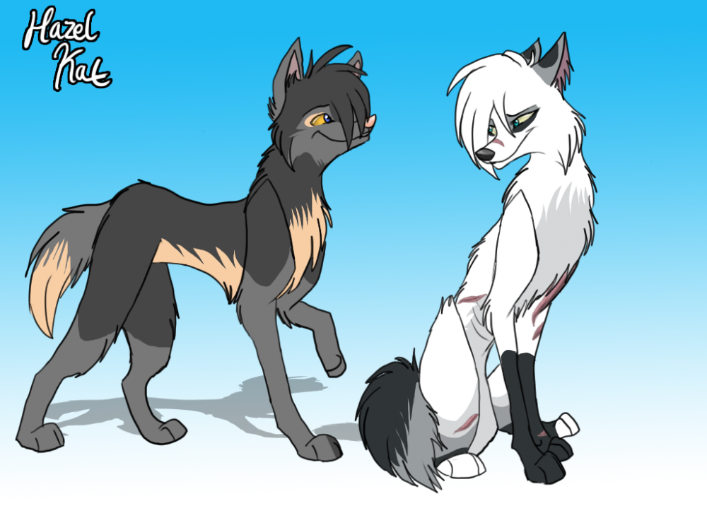 MOBSY AND ZILLZILL