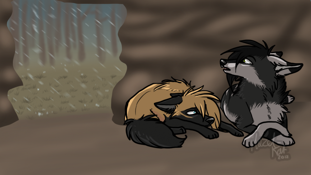 shelter