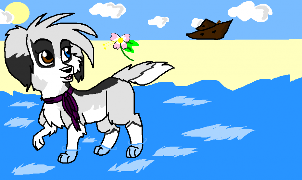 Puppy shayla on the beach