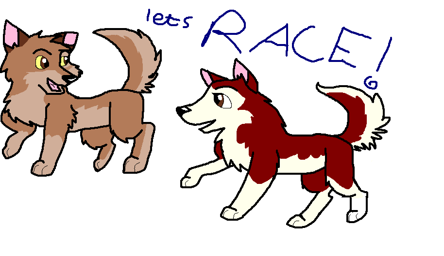 Puppy Race!