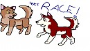 Puppy Race!