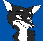 Gift-Zasha