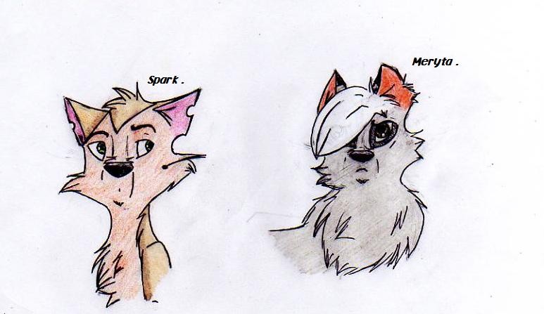 Spark;Meryta