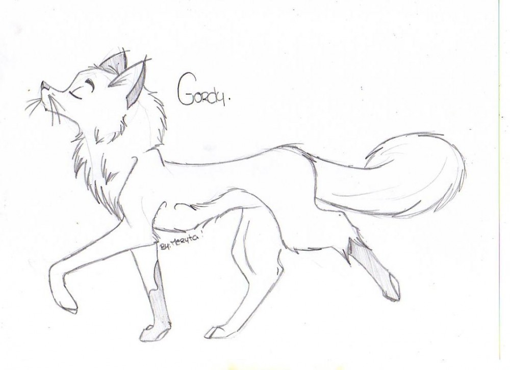 Gordy .