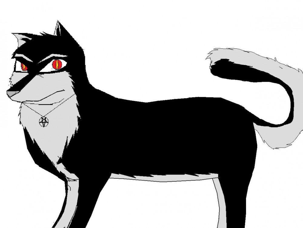 me as a wolf