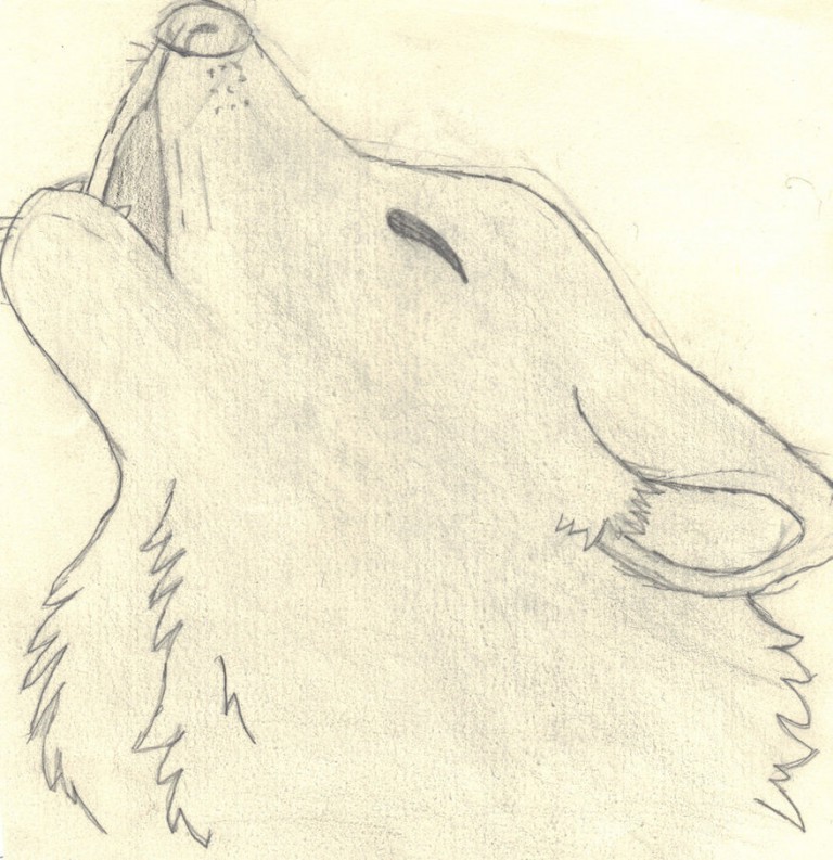 howling at the moon