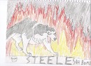 steele