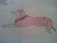 Jenna and Balto's noisee ^^