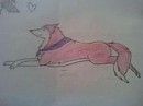 Jenna and Balto's noisee ^^