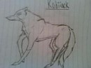Kodiiack;)