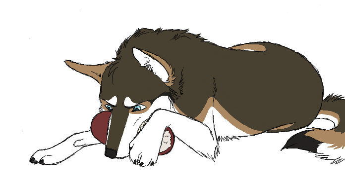 Om Nom Nom