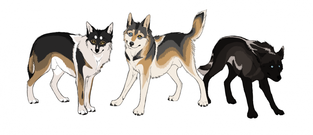 Siblings