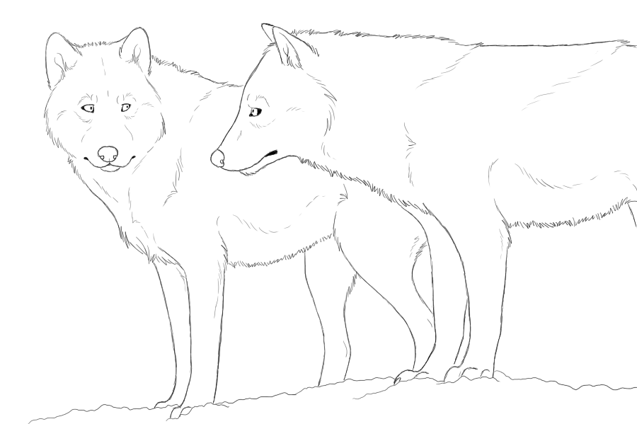 Linearttt