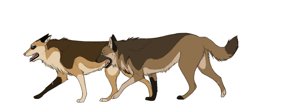 Rio and Whisper