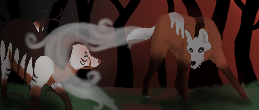 Come with me...
