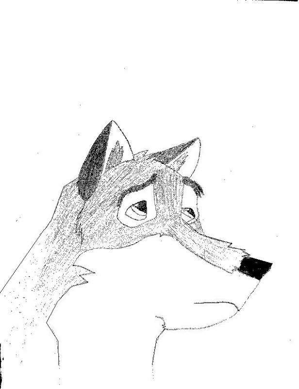 Balto