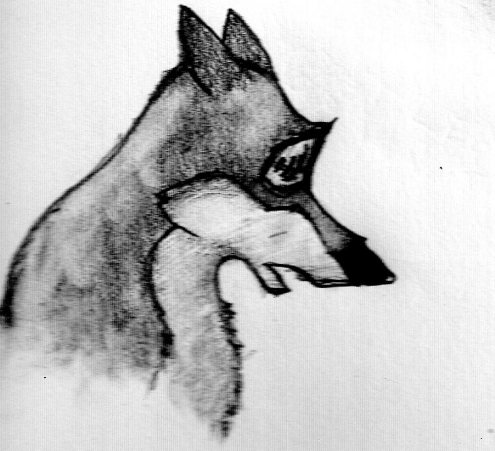 Balto