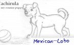 Mexican_Lobo