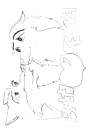 Old Fanart Balto and Jenna