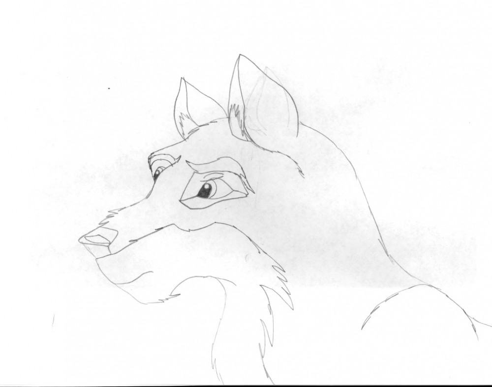 My First Ever Balto Drawing