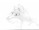 My First Ever Balto Drawing