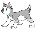 Unknown Pup