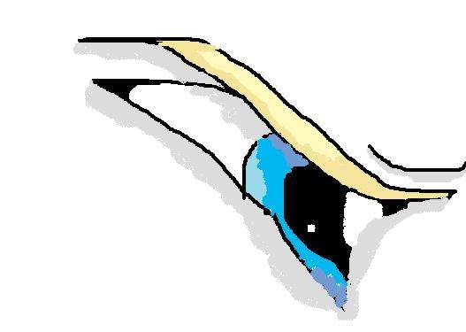 The Eye