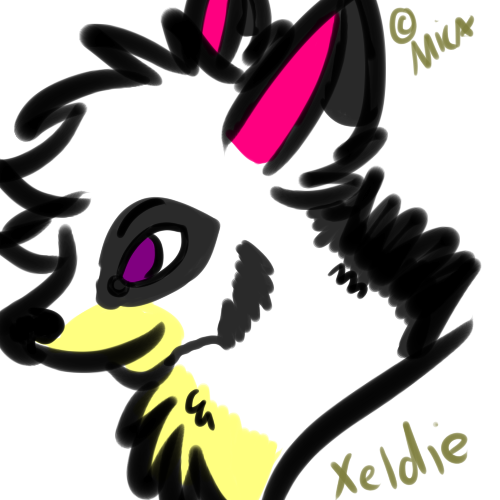 Xeldie Headshot~