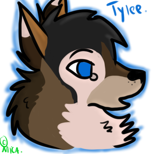 Tylee Headshot~