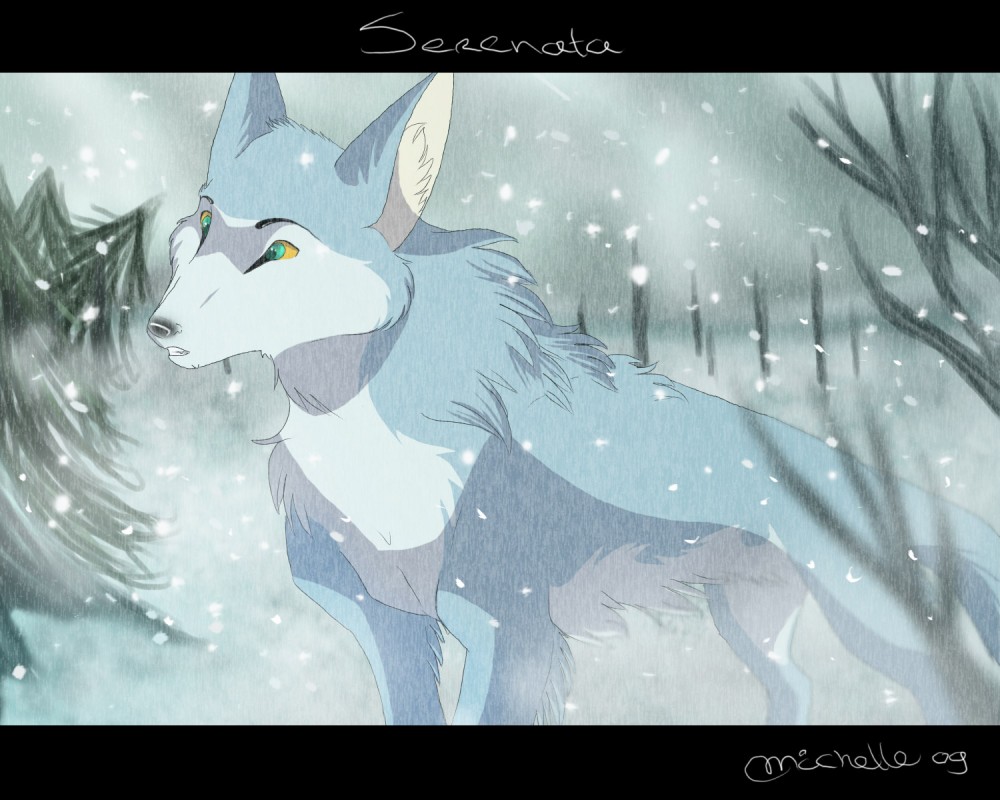 Serenata