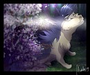lost kingdom