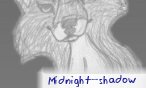 midnight_shadow