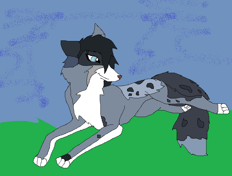 Contest entry