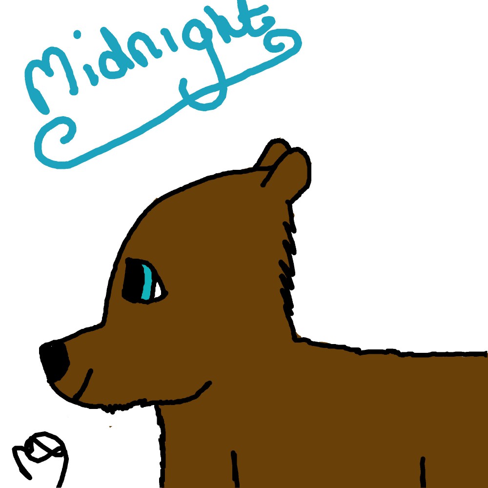 Midnight YAY