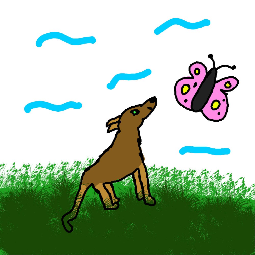 Zalia ~ Butterfly fly away