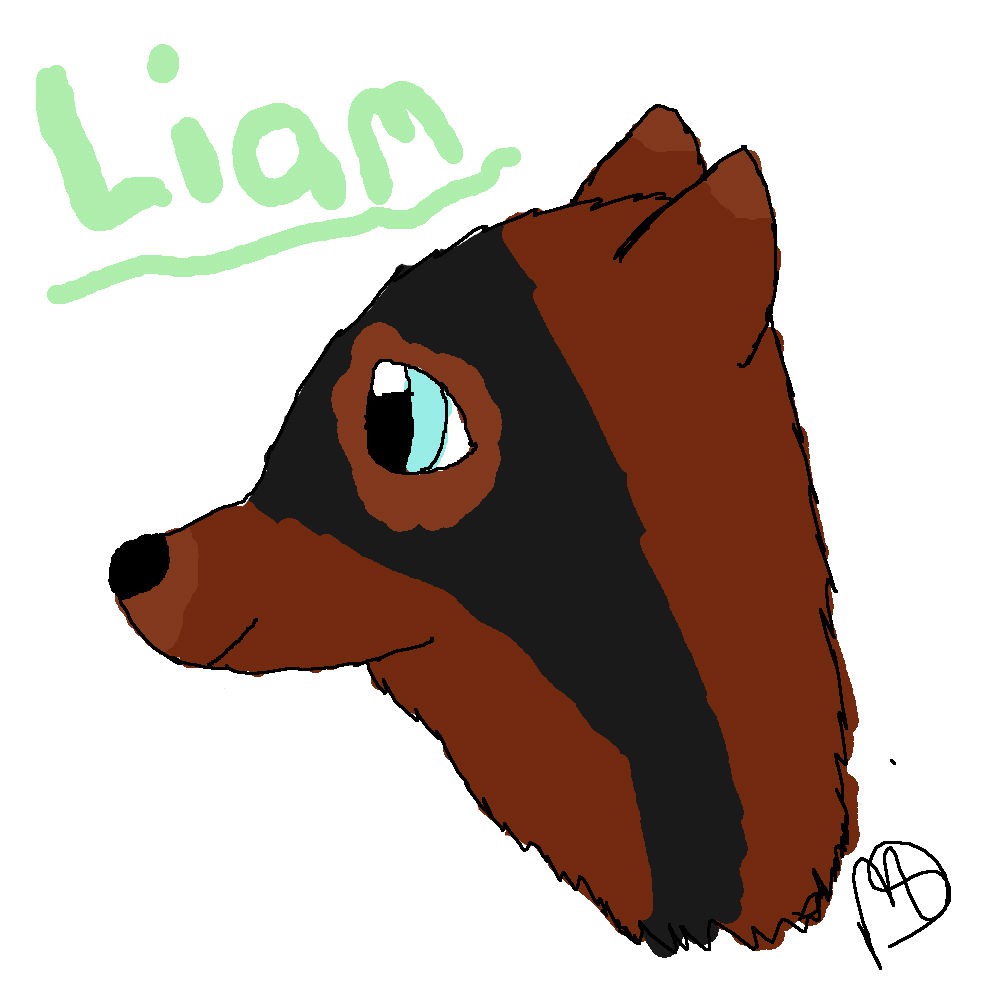 New Character : Liam 