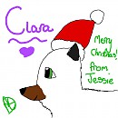 Clara for Rabbit.