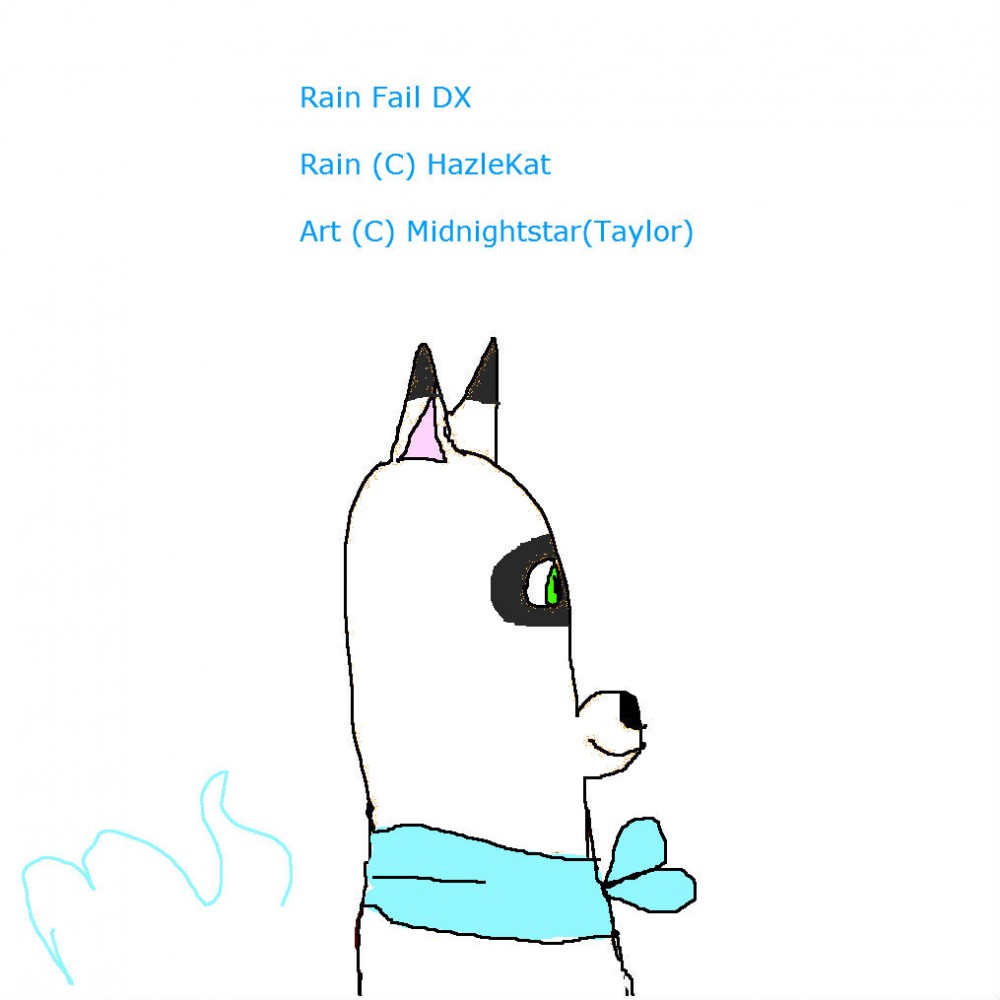 Rain