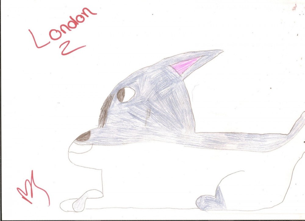 London 8D