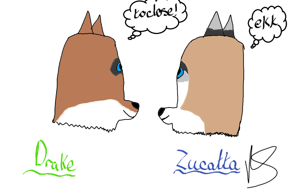 Trade~ZukotheCat