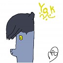 Yak.