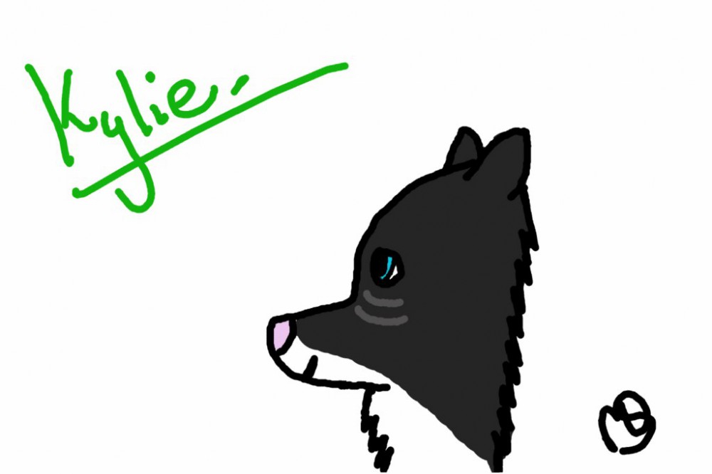 Improvement test.