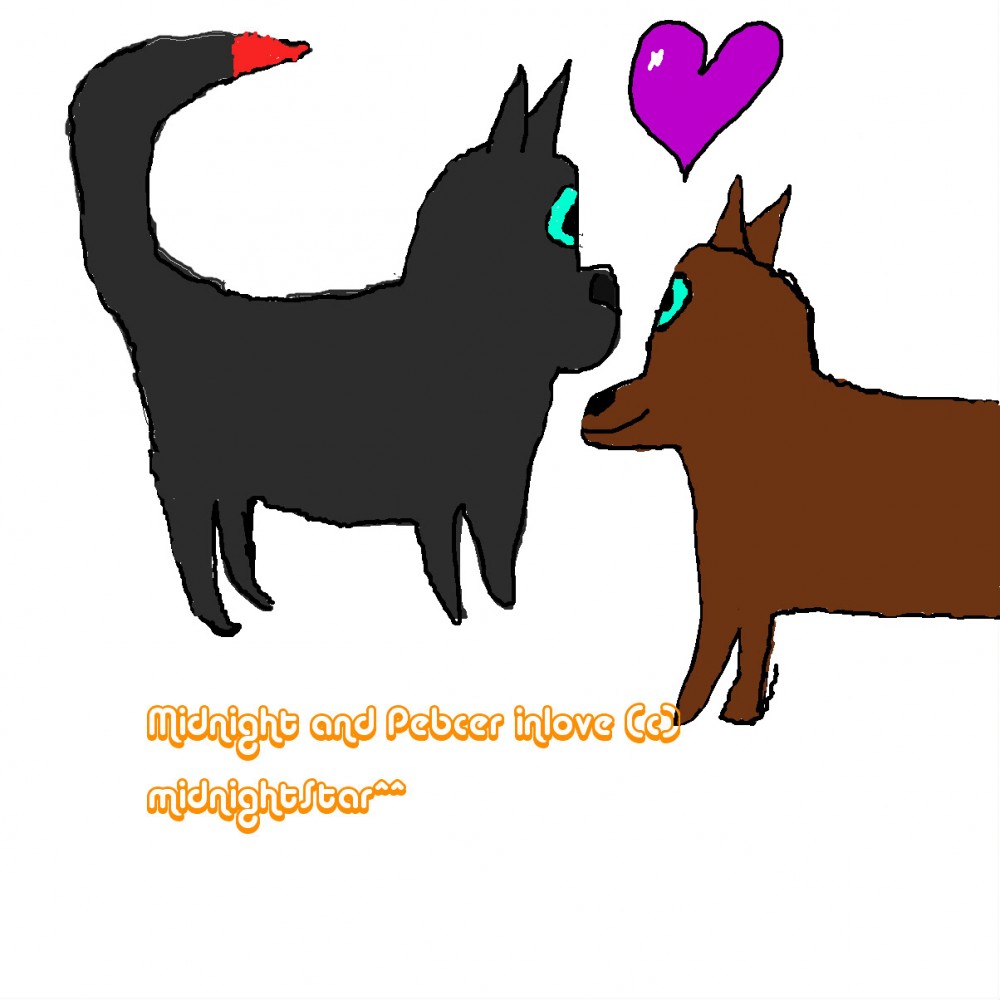 Midnight and Pencer