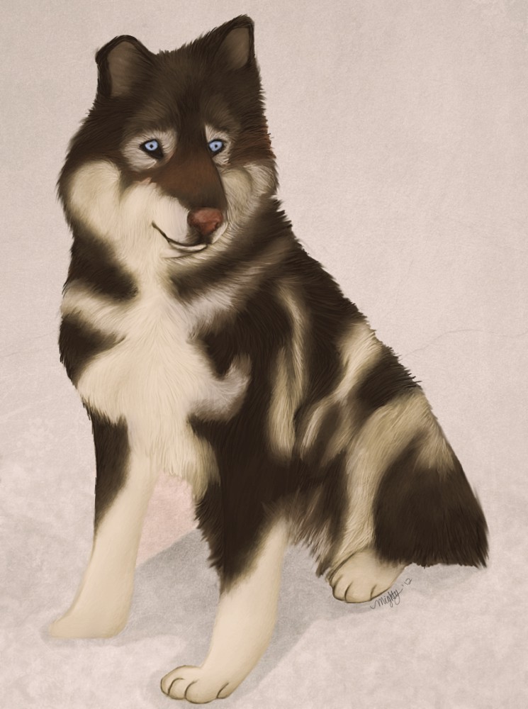 Togo portrait 